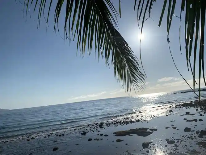 早晨起来看到的海上日出