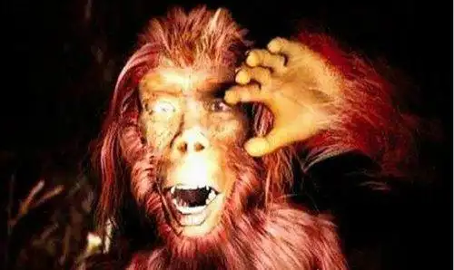 神农架野人目击事件直立行走体毛发红行动敏捷未解之谜