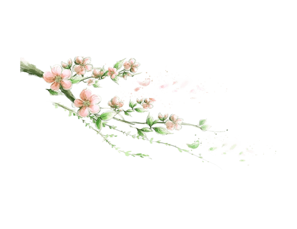 卡通手绘桃花漫画