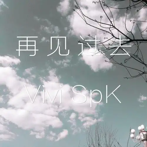 再见过去vivispk