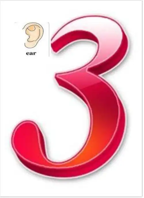 艾孚国际学前教育新小班――数学课《认识数字3》