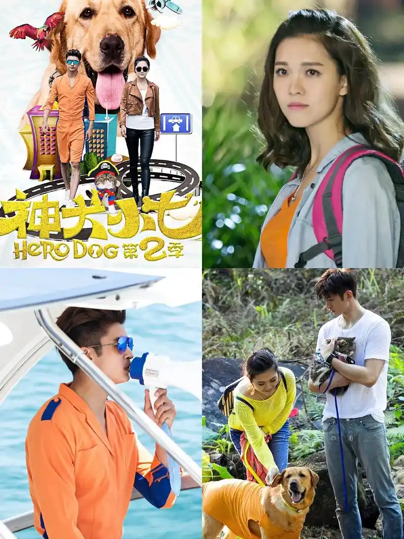 那年717不仅有迷宫,还有神犬小七2#张云龙 #王洋 #王洋 - 抖音