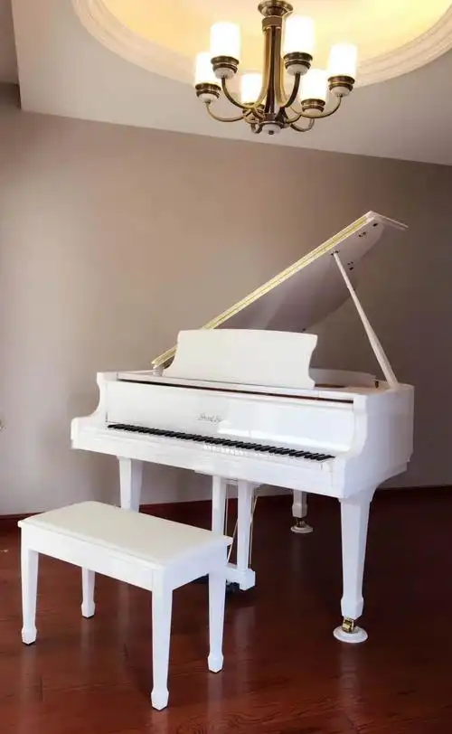 家中有一架白色钢琴会怎么样?