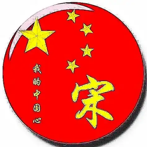 专属姓氏头像 姓宋的朋友家注意啦.新版头像大全,都在这啦! - 抖音