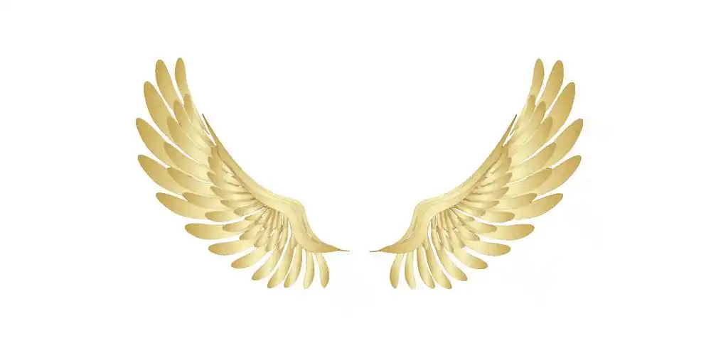金色大气翅膀gif动图翅膀元素[gif]