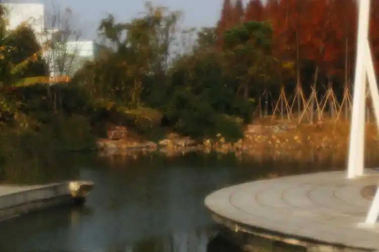 我想知道我这张照片算曝光不足还是曝光过度