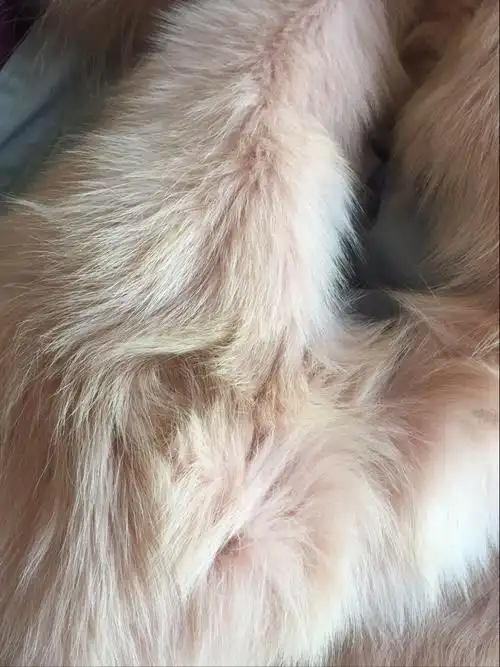 麻烦哪位大神帮忙看一下是不是狐狸腹毛,怎么会有黄色的毛尖,这样一件