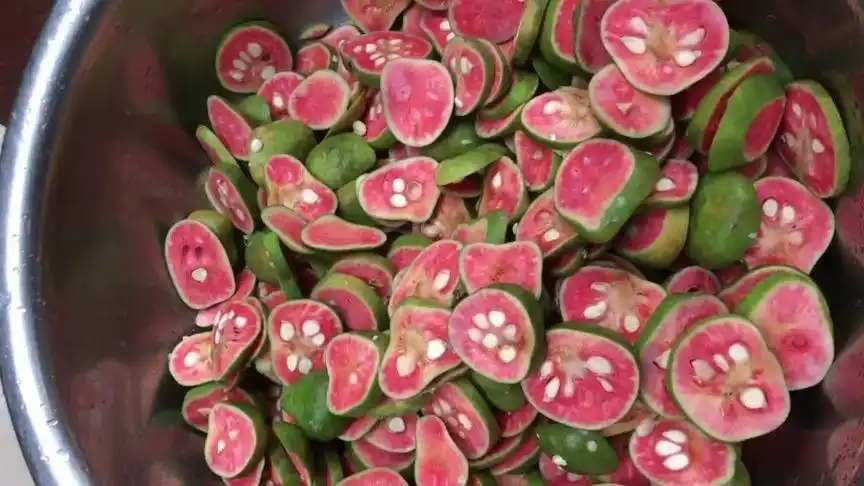 桂木果 好吃是好吃97就是有点费时费糖.胭脂子糖,你们吃过吗