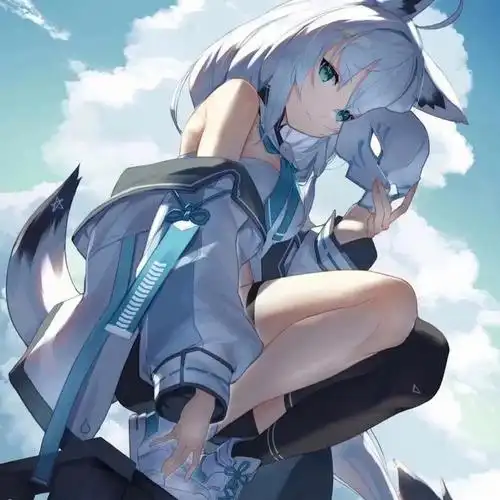 这样的二次元老婆你喜欢吗