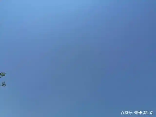 她是春天的颜色:蓝色