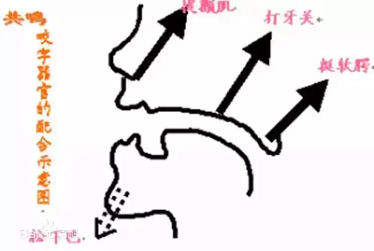 5种找到头腔共鸣的方法