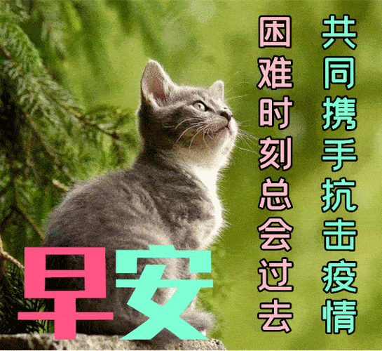 轻轻的一声问候,融入了所有的心愿;淡淡的一句祝福,倾注了无限的真诚.