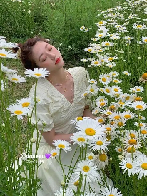 雏菊花海里的丸子头女孩来啦?