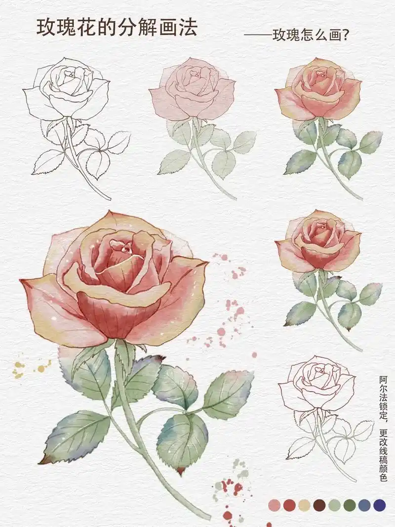 水彩玫瑰的分解画法95.#插画 #procreate绘画 # - 抖音