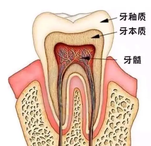 根管治疗二三事757575被称为"极刑"的根管治