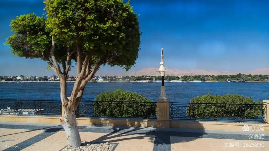 尼罗河三角洲和北部沿海地区属于地中海型气候;年平均降水量50-200