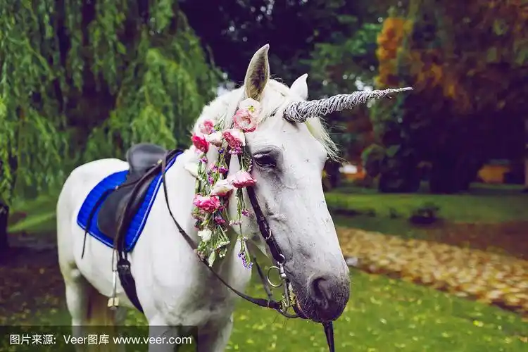 马装扮成有角的独角兽.关于拍摄的想法.的婚礼.聚会,派对户外