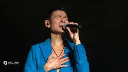 刘德华2011中国巡回演唱会上海站