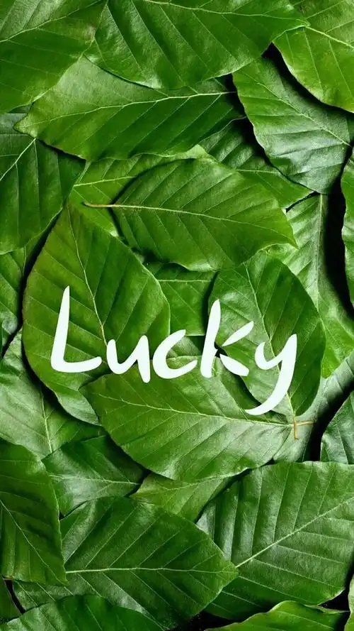 675_1200竖版 竖屏