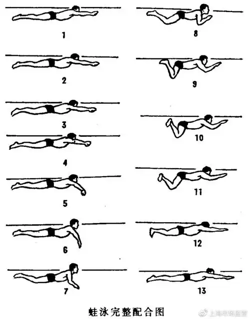 奥运比赛的泳姿进化史
