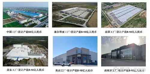 梦百合蓄势待发终将绽放