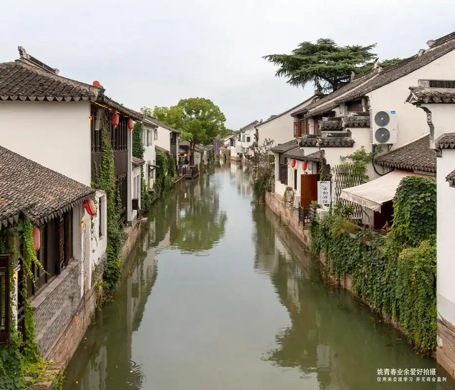 烟雨江南甪直古镇 姚青春 江南水乡 江南古镇 甪直古镇