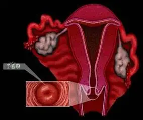 倍美盈片剂词条图册_百度百科