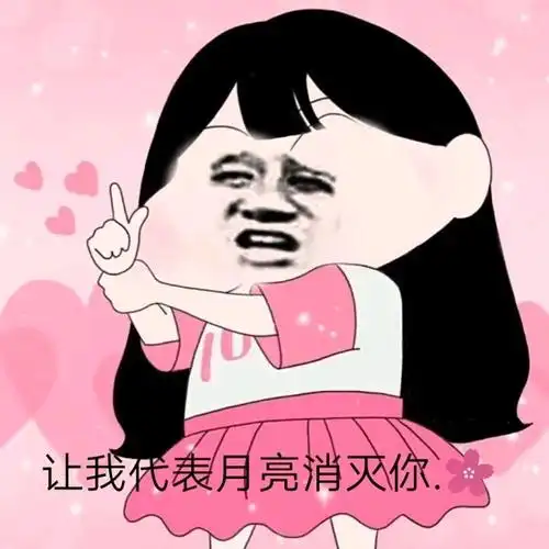 让我代表月亮消灭你