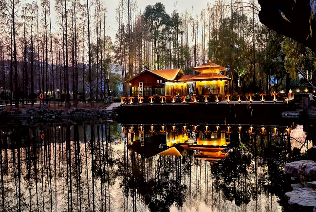 亮了,靓了!泗泾公园新年添新景
