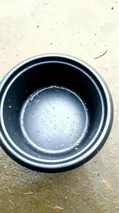 请问电饭锅内胆的脱层是什么材质,对人体有没有危害?