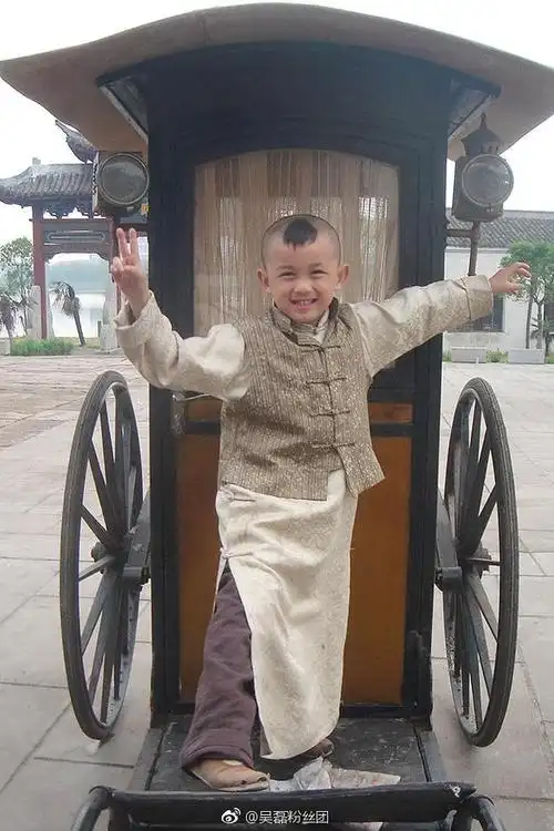 年纪不大却早已是"老戏骨",吴磊究竟参演过多少电视剧?