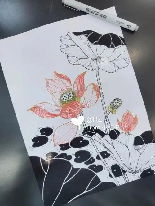 绘画练习装饰画荷花