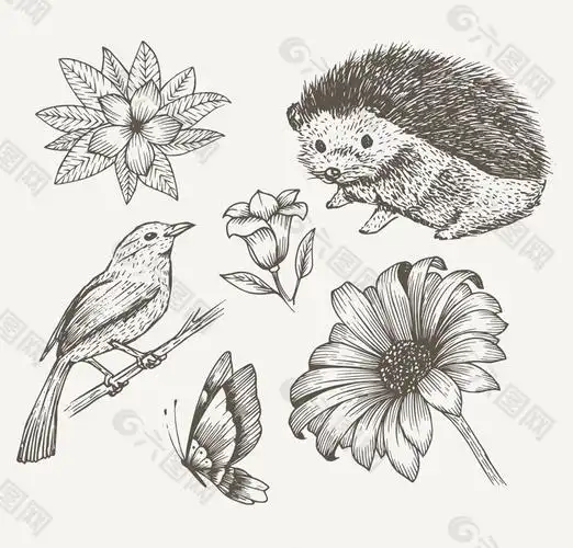 6款手绘动植物矢量素材