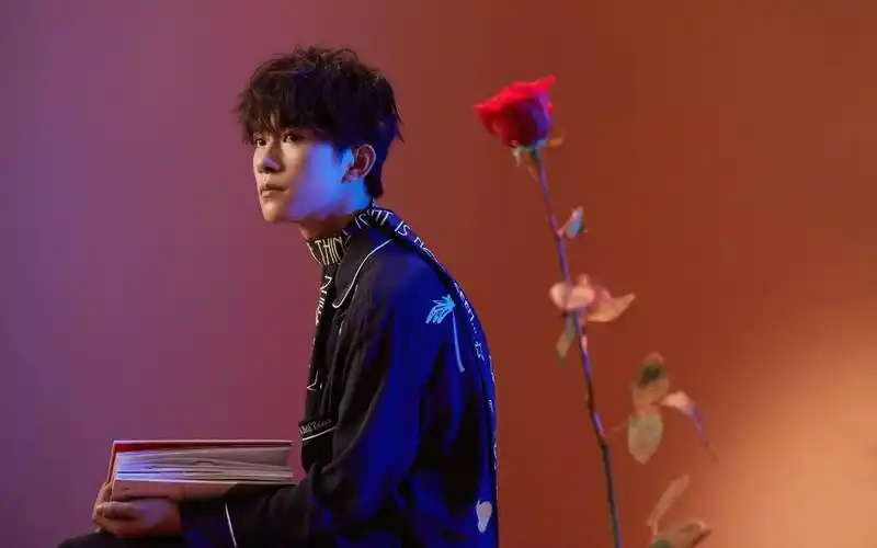 野兽派易烊千玺素材混剪玫瑰花与小王子都不该被辜负