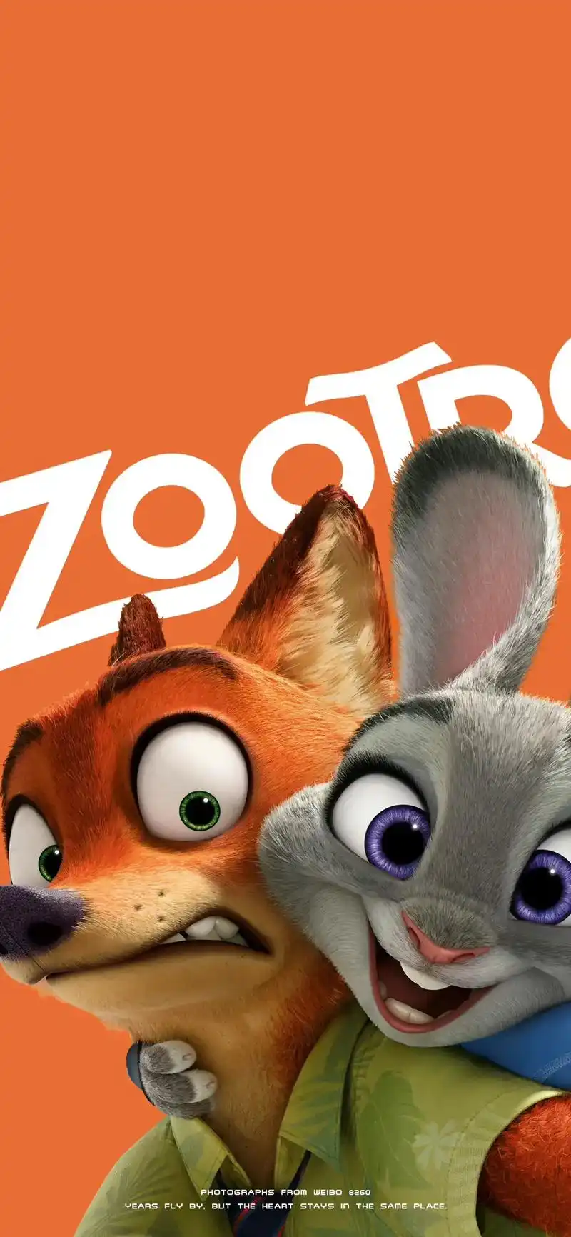 疯狂动物城高清壁纸 - 抖音