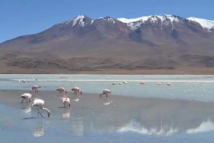 travel the incredible bolivia