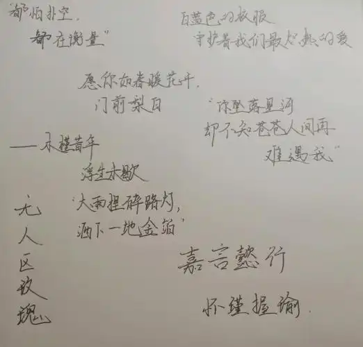 无人区玫瑰