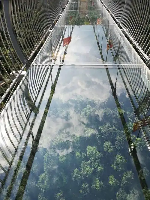 今天走过玻璃桥