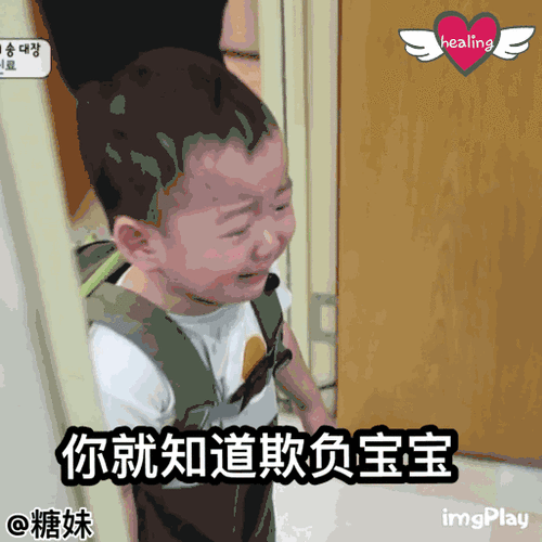 宋民国动态表情包