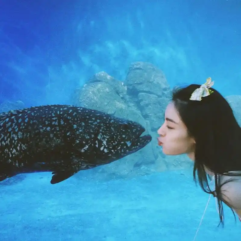 头像|可甜可酷钟楚曦