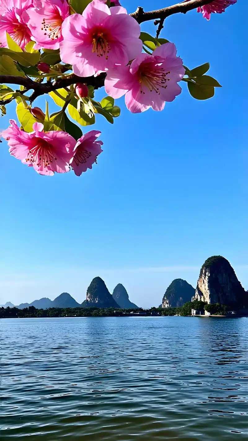 桂林漓江山水.看看美丽的风景,用心感受一下大自然的美,放松一 - 抖音