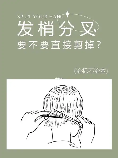头发分叉都是直接剪掉的点进来