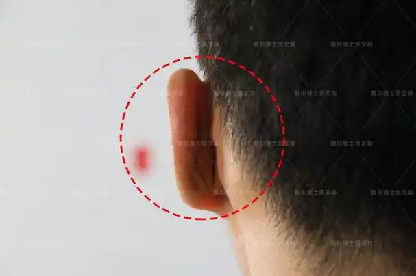 耳朵反骨的人也反骨吗?