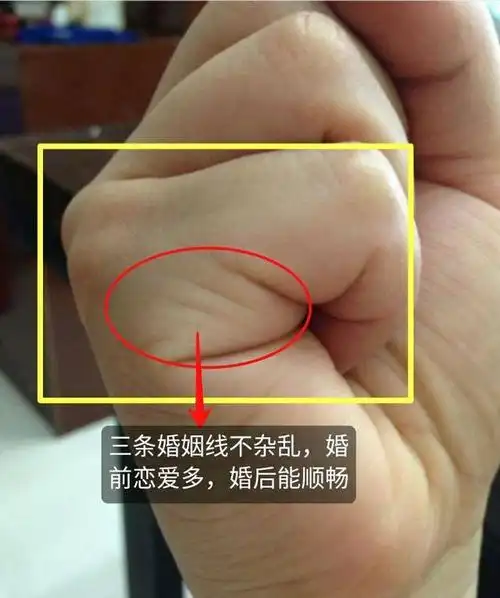 婚姻线数量多寡,杂乱长短,决定婚恋的成败!