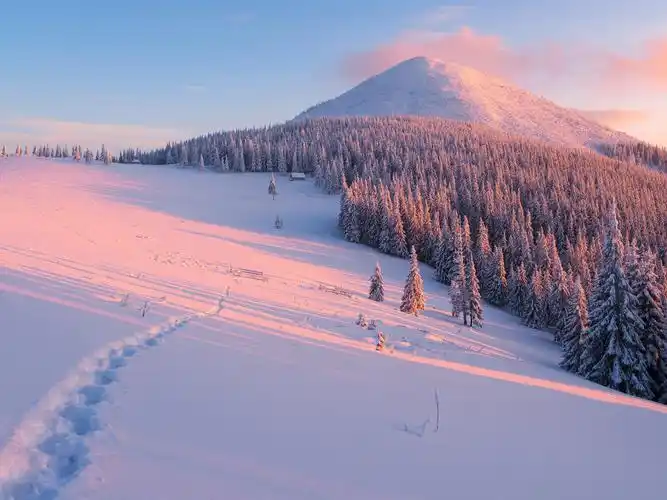 首页 自然与风景 冬天 冬天,坡,树,雪,山,太阳光线 壁纸 / 1920x1440