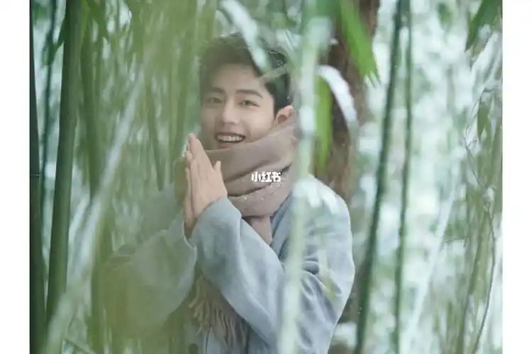 肖战先生,冬至快乐!健康顺遂!