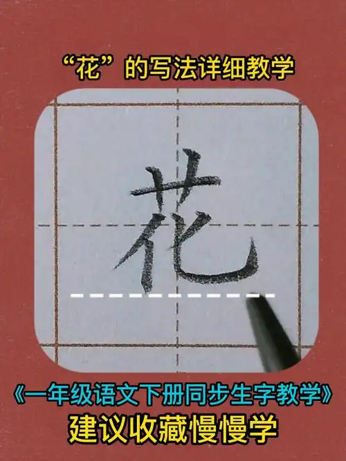 花的写法超详细手写硬笔楷书教学