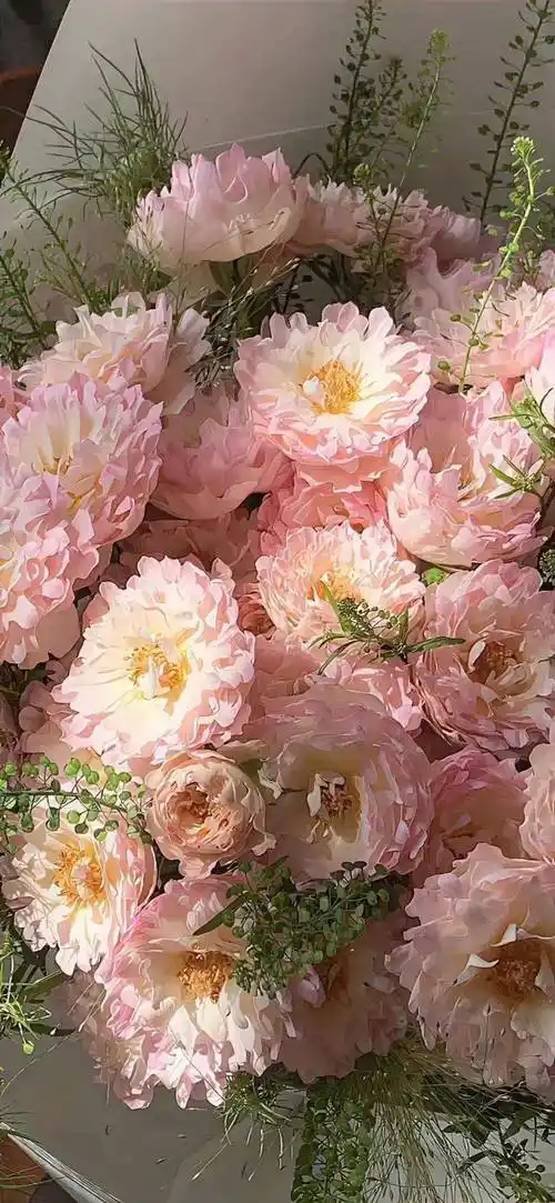 壁纸|全面屏超清壁纸