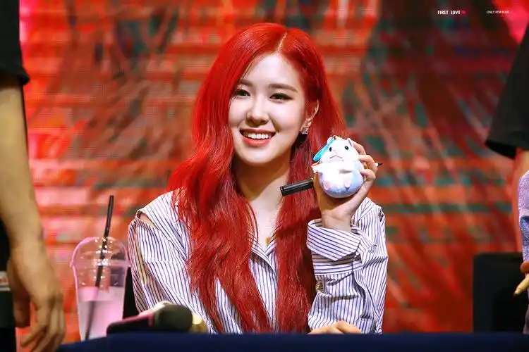 朴彩英 ros06 blackpink成员 - 堆糖,美图壁纸兴趣社区