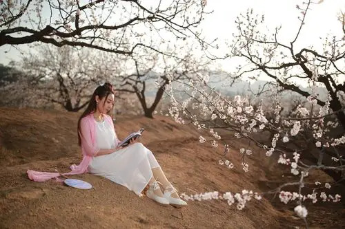 红颜伴诗走天涯